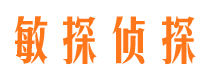 武江侦探公司